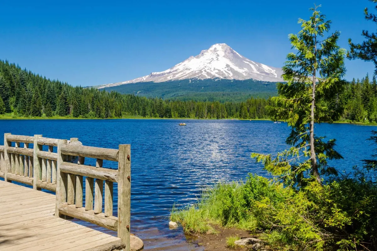 A picturesque scene featuring a serene lake with a wooden bridge, forested shoreline, and majestic mountains in the background. The setting invites guests to imagine hiking, picnicking, and exploring nature with their pets.